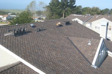 condos hunter field trip colma