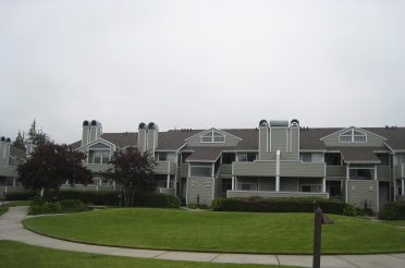 condos hunter field trip colma
