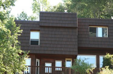 Project Showcase - los gatos