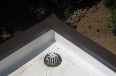 Project Showcase - los gatos