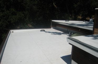 Project Showcase - los gatos