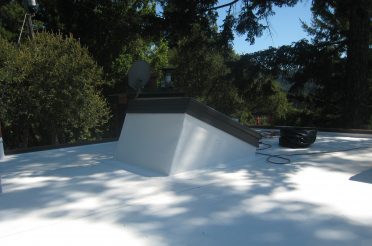 Project Showcase - los gatos