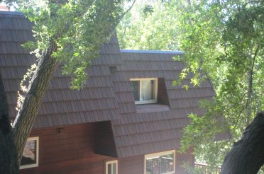 Project Showcase - los gatos