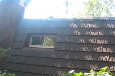 Project Showcase - los gatos