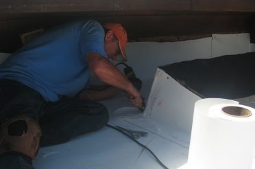 Project Showcase - los gatos